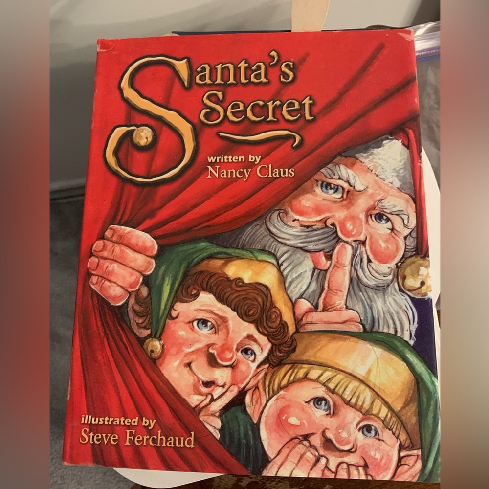 Santa's Secret Children's Book